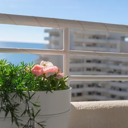 Apartamento Estudio Benal